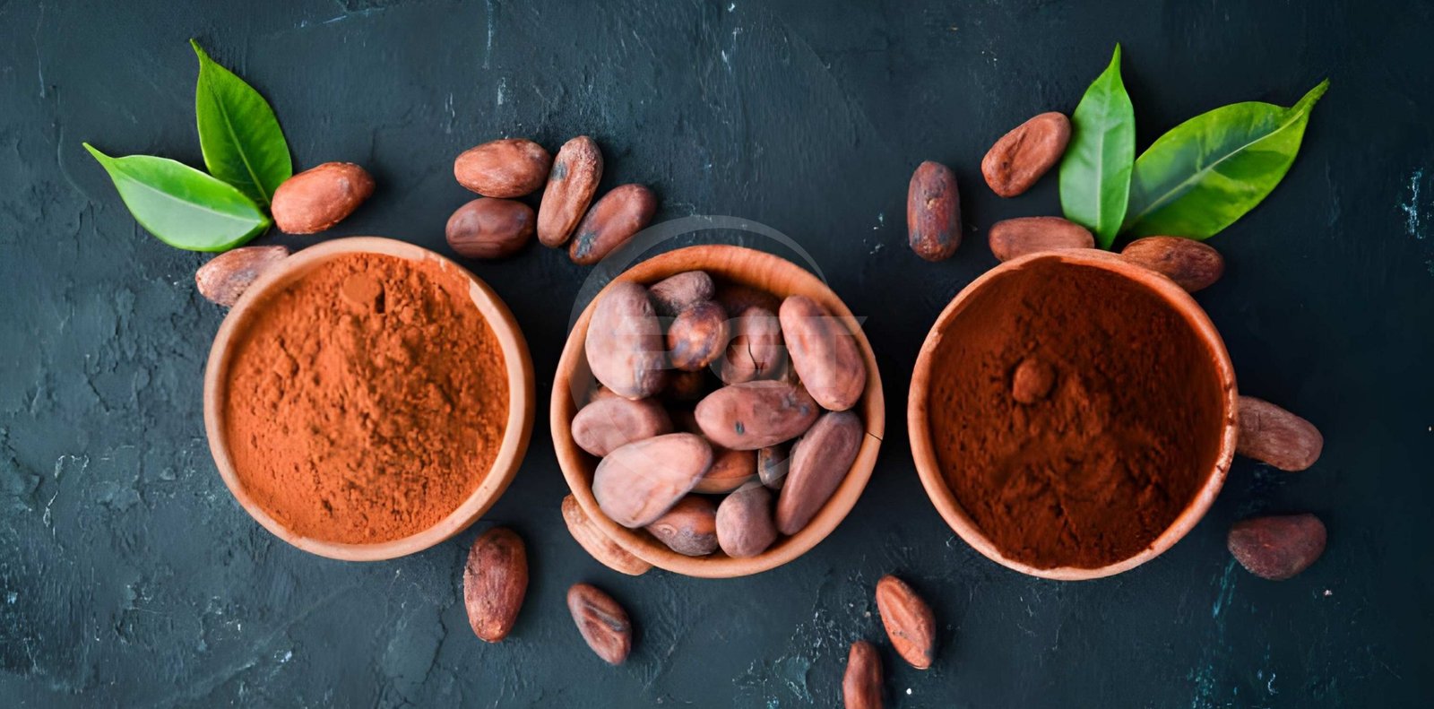 cocoa powder.jpg