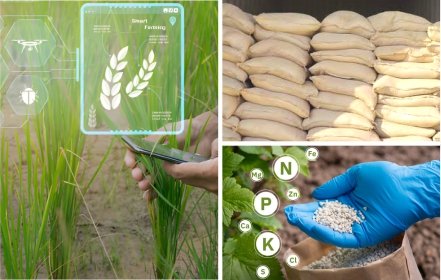 agriculture & fertilizers 440x280px.jpg